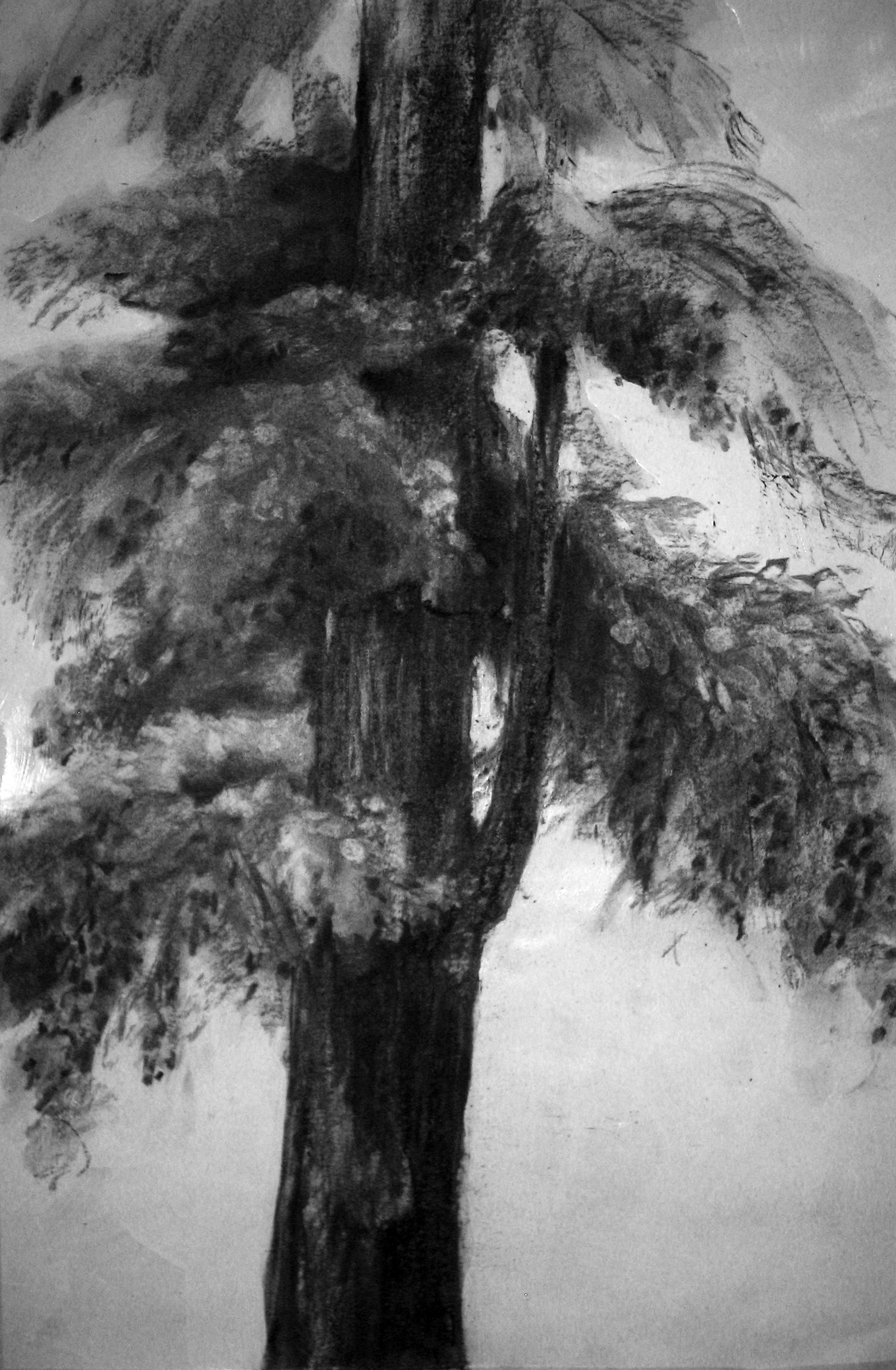 Aartwerk Studio,<br><em>The Tree, 2015</em> 